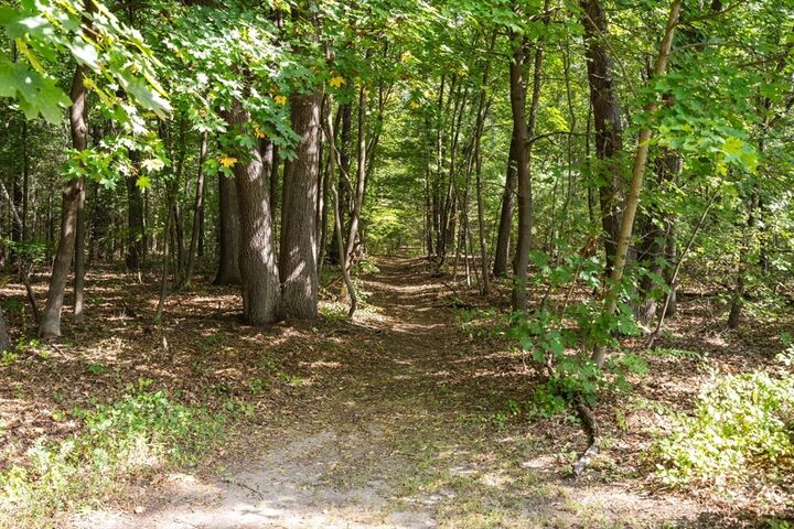 Property Photo:  96 Lyman Ter  MA 01075 