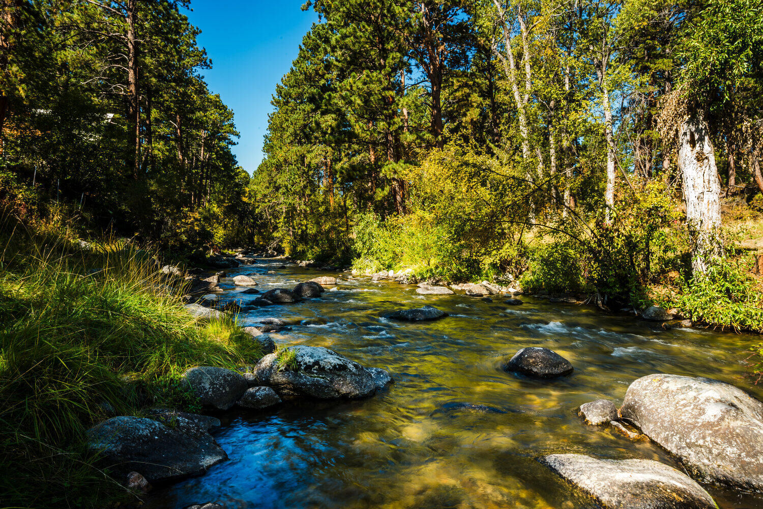 Property Photo: 39 Fish Hatchery Road WY 82842