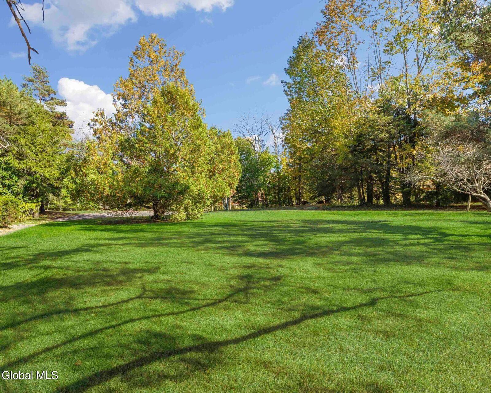 Property Photo:  5807 Main Street  NY 12485 