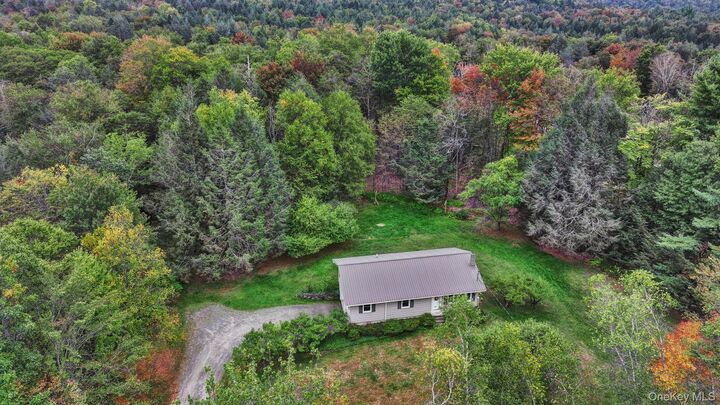 Property Photo:  148 Moore Road  NY 12788 