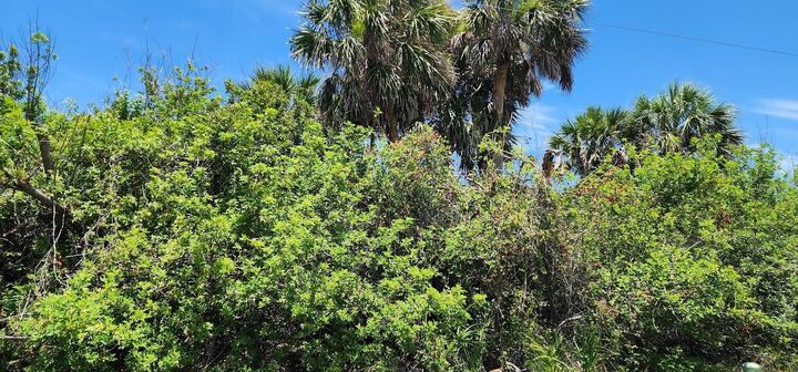 Property Photo:  108 Bebb Court  FL 33947 