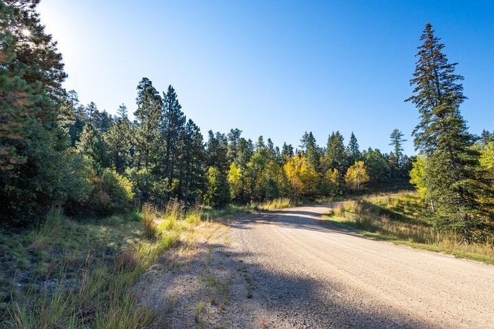 Property Photo: Lot 17 Dynasty Road SD 57754