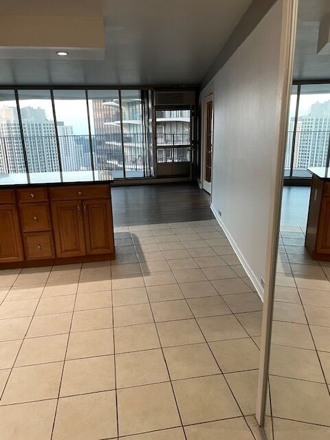 Property Photo:  300 N State Street 4607  IL 60654 