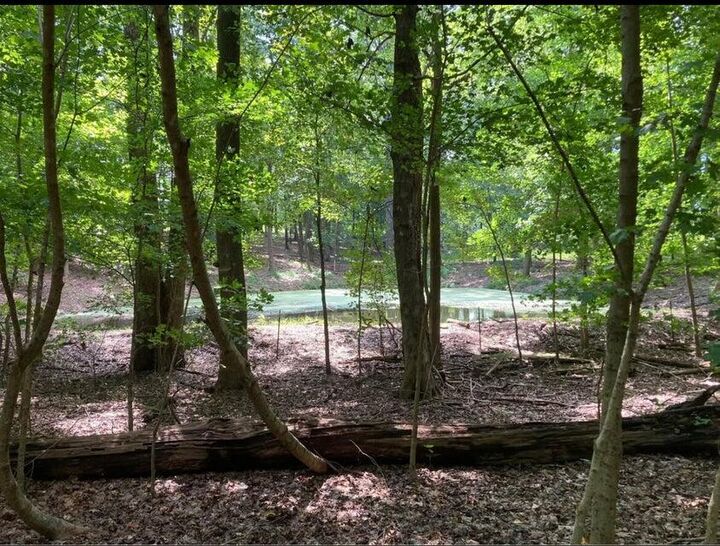 Property Photo: 359 County Road 4 TN 37309