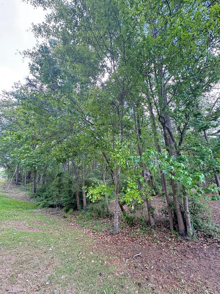 Property Photo:  115 Owl Hollow  GA 31757 