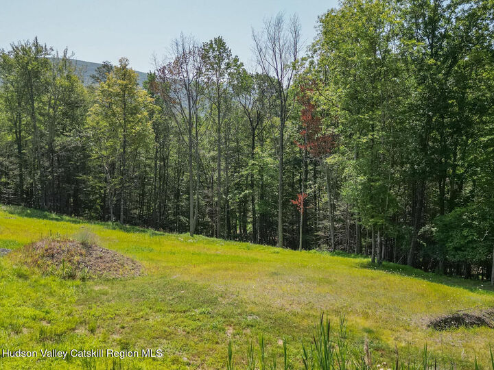 Property Photo:  61 Hillside  NY 12494 
