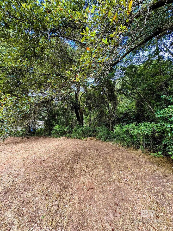 Property Photo:  17671 Williams Lane  AL 36580 