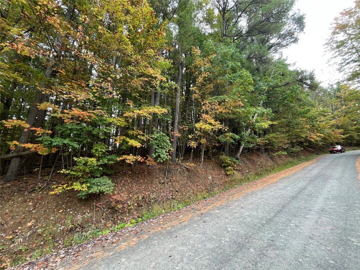 0 Middle Road  Owego NY 13827 photo