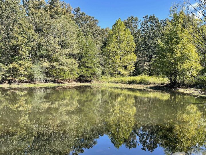 Property Photo: 690 N Copperhead Road AR 72536