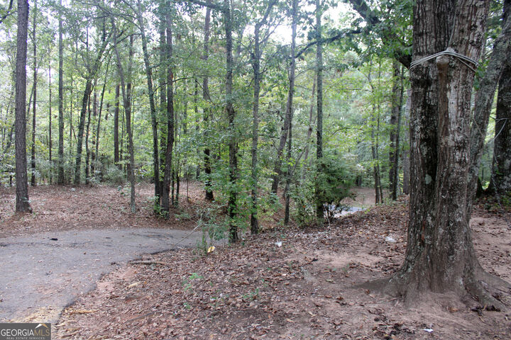 Property Photo:  311 Tomme Road  GA 30240 