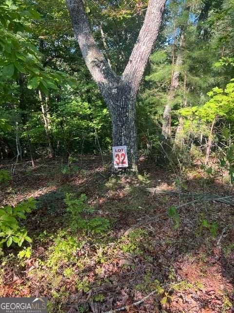 Property Photo: Lt 32 Buck Creek Road GA 30540