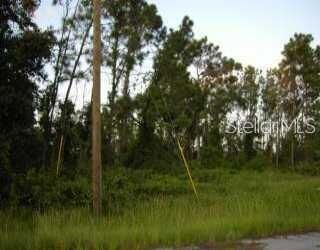 Property Photo:  Douglas Road  FL 34288 