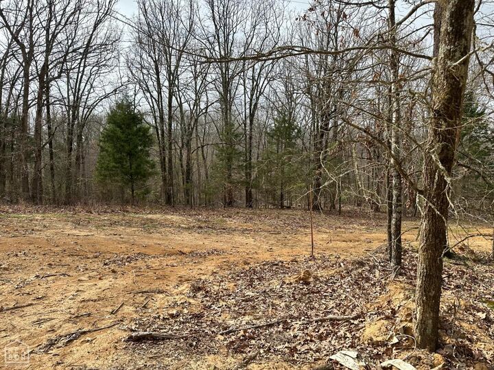 0 Raby Road  Harrisburg AR 72432 photo