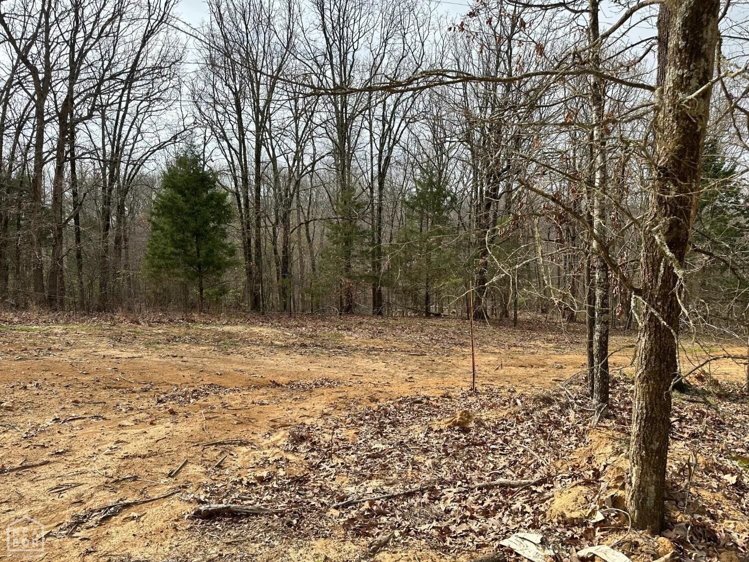 Property Photo: 0 Raby Road AR 72432
