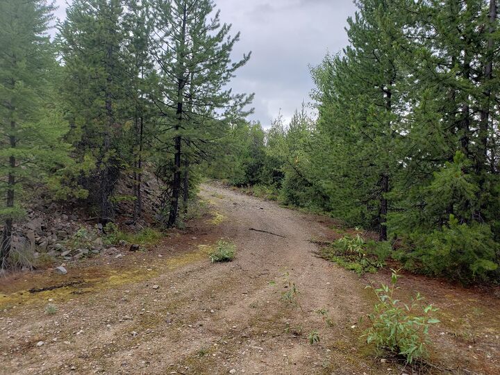 Property Photo:  Lot 15 Nine Mile Road  MT 59846 