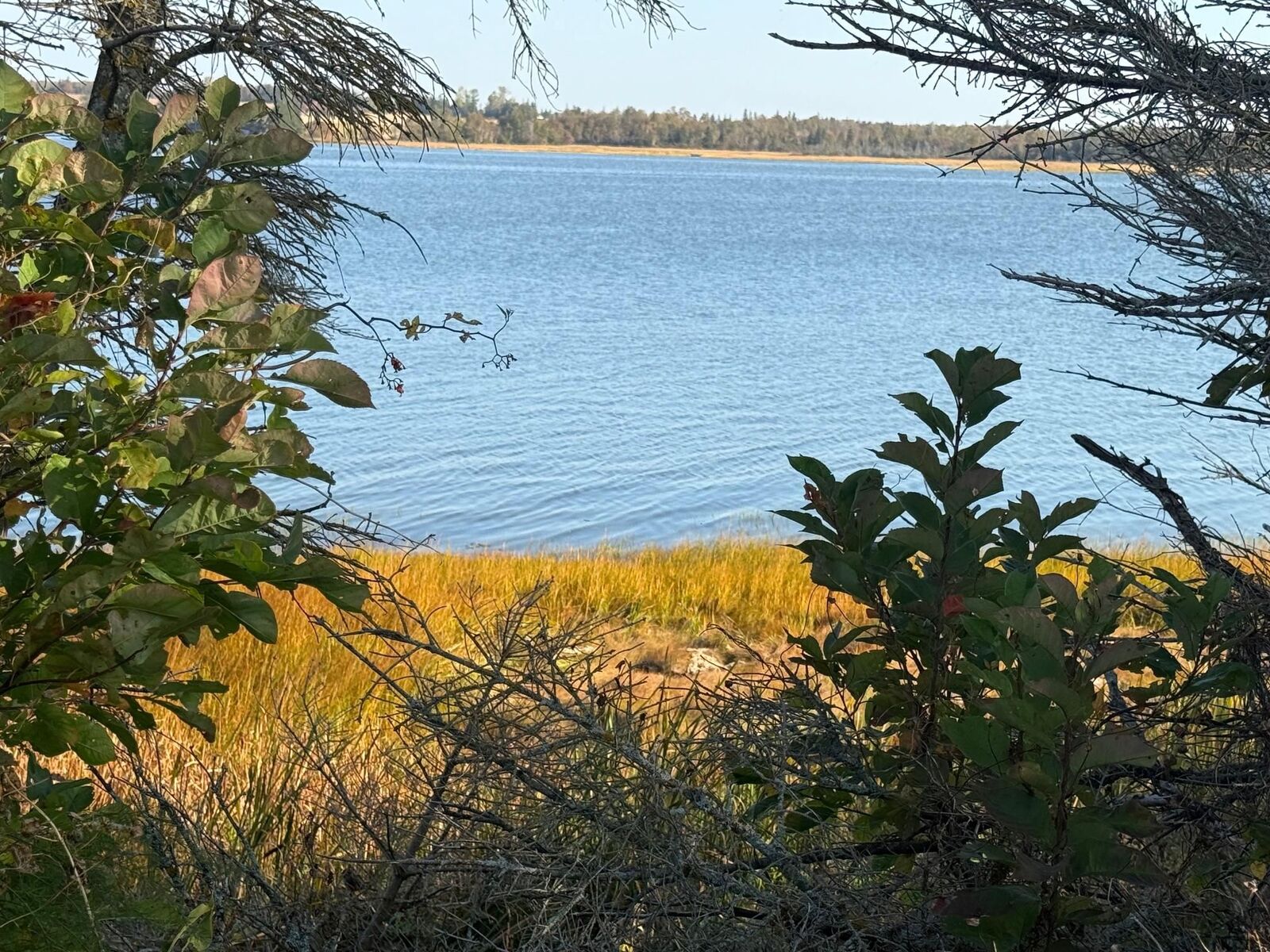 Property Photo:  0 Rte 112  PE C0B 1C0 