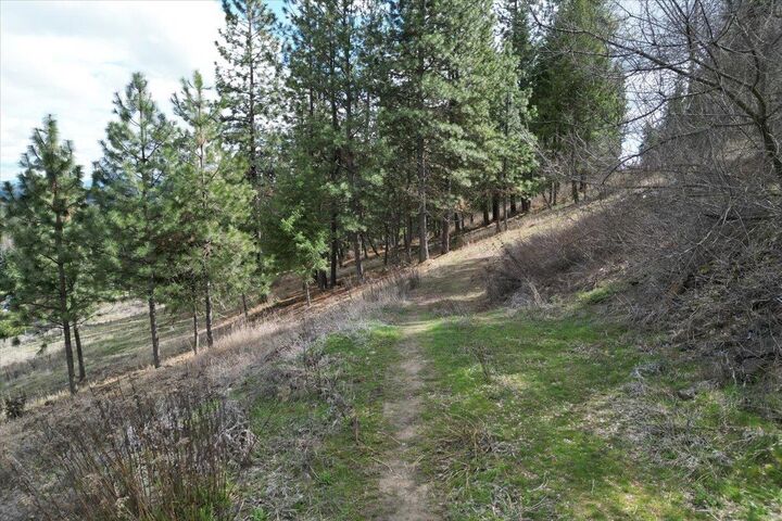 Property Photo:  1411 W Toni Rae Dr  WA 99218 
