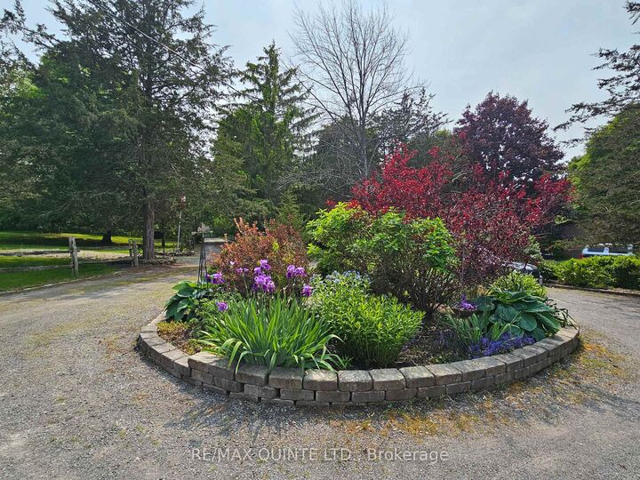 Photo de la propriété:  12112D Loyalist Parkway  ON K0K 2T0 