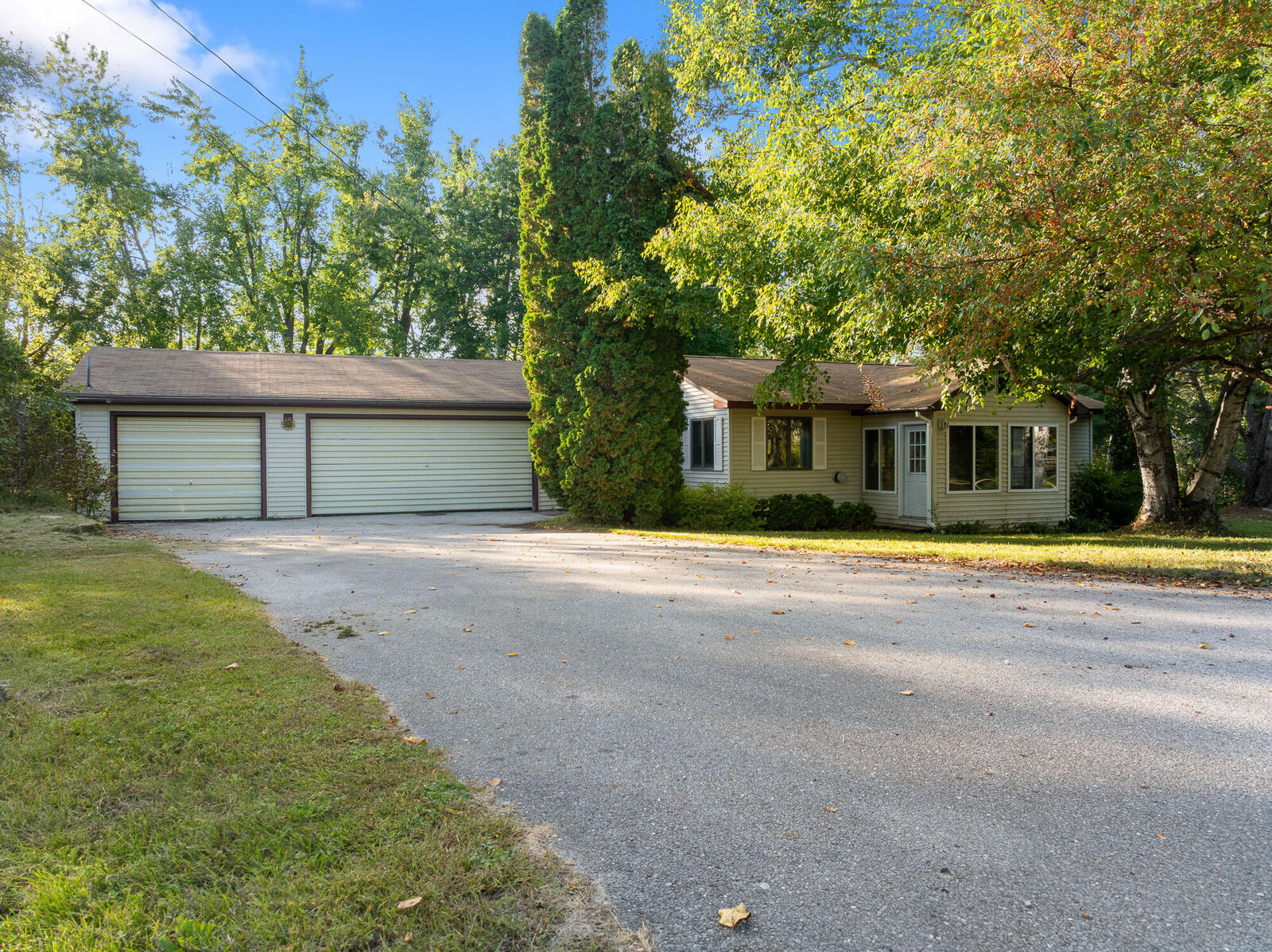 Property Photo:  1888 Trembley Drive  MI 49749 