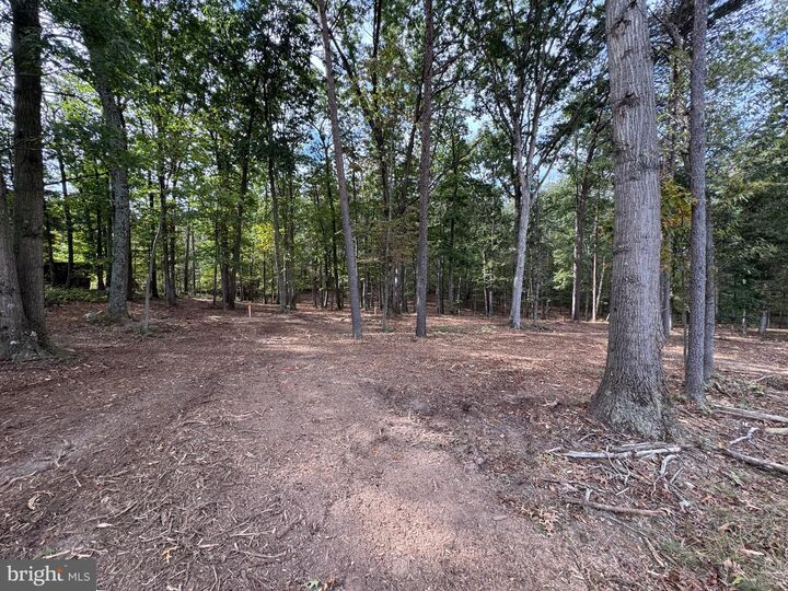 Property Photo:  115 Stetson Street  VA 22603 