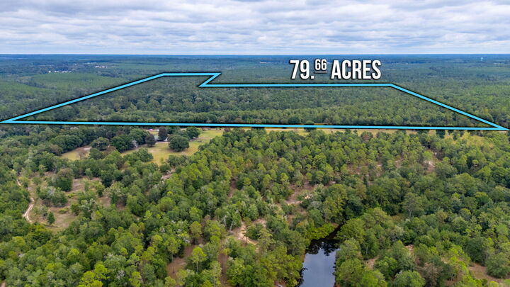 Property Photo: 79 Acres Bucking Up Road FL 32567