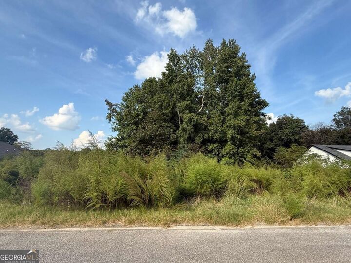 Property Photo:  0 Live Oak Lane Lot 5  GA 30629