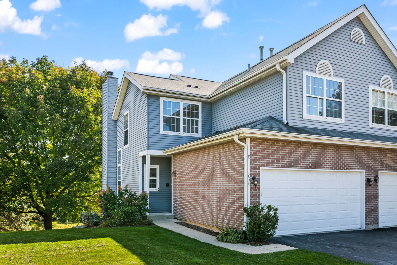 Property Photo:  231 Grandview Court  IL 60102 