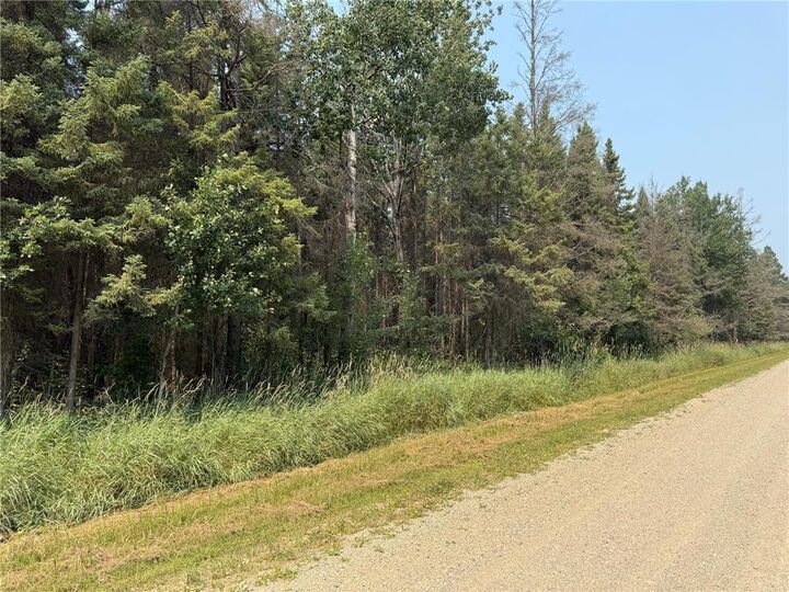 Property Photo: Tbd 40 Acres Sunflower MN 56650