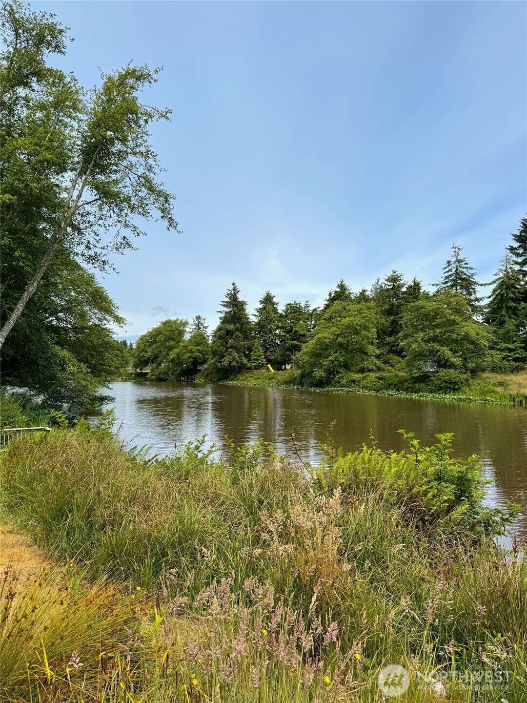 Property Photo:  430  Dolphin Avenue SE  WA 98569 