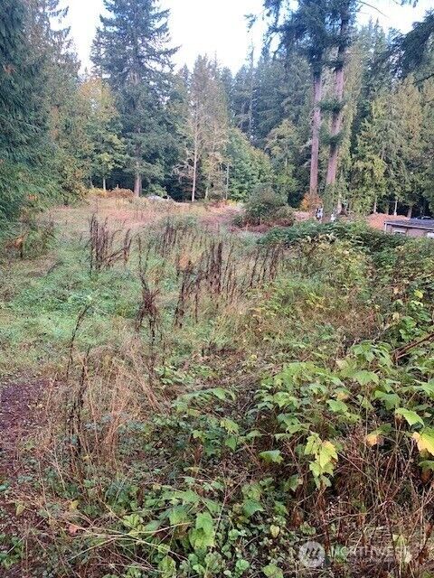Property Photo:  3539  278th Place NE  WA 98053 