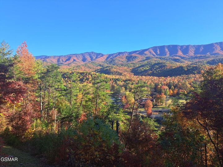 Property Photo: 429 Deer Path Lane TN 37738