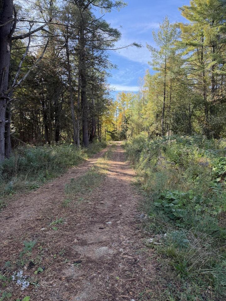 Property Photo: 1328 North Star Road NY 12958