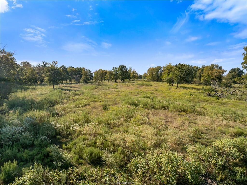 Property Photo:  Tbd County Road 185  TX 77830 