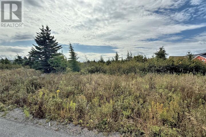 Property Photo:  2 Whitney Street  NL A0A 1G0 