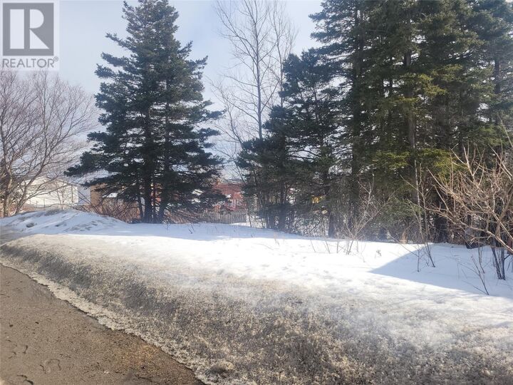 74 Hillview Avenue  Stephenville NL A2N 1T1 photo