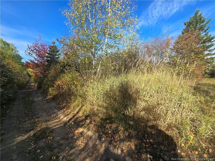 Property Photo:  14.97 Acres Chemin Saulnier Ouest  NB E1X 2G6 