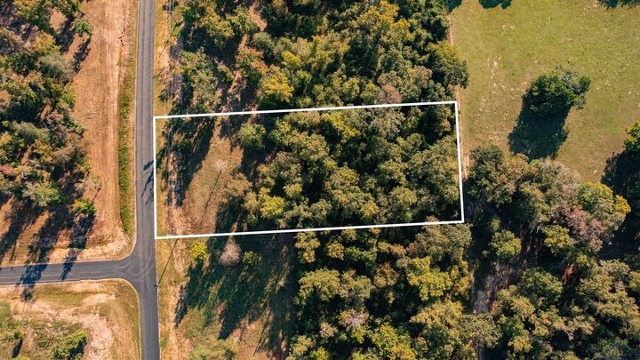 Property Photo:  Lot 61 Big Rock Lake  TX 75650 