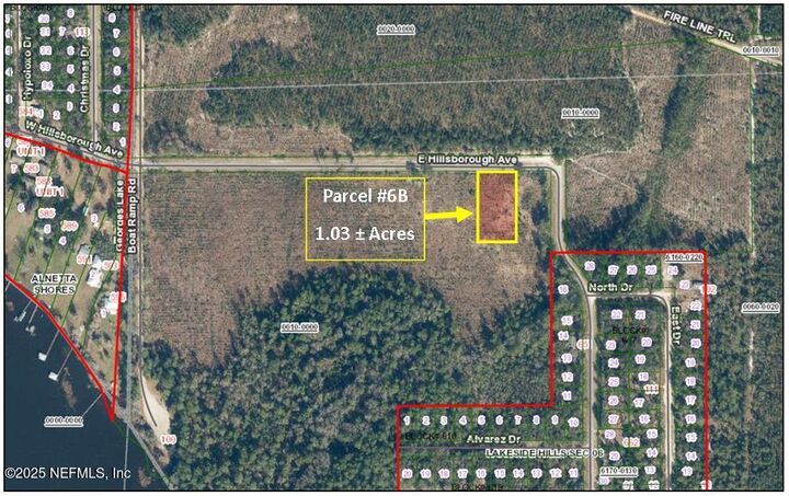 Parcel 6B E Hillsborough Avenue  Florahome FL 32140 photo