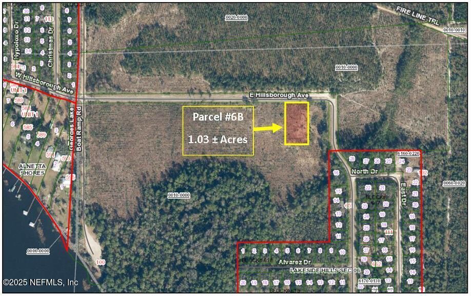 Property Photo: Parcel 6B E Hillsborough Avenue FL 32140