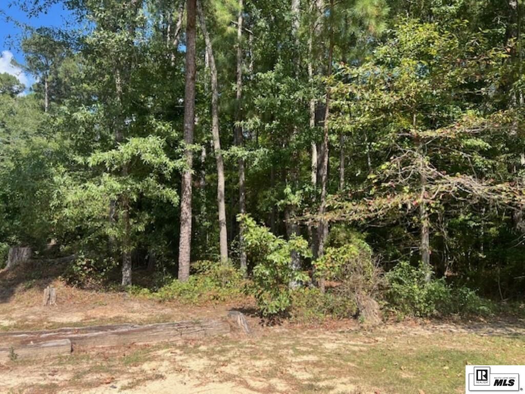 Property Photo: 119 Cove View Road LA 71245