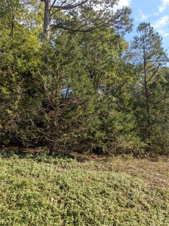 Property Photo:  32 South Hills Loop  AR 72631 