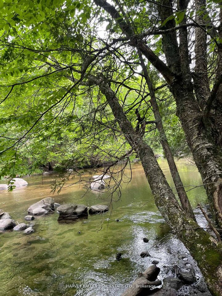 Property Photo:  79 Gummow Road  ON K0K 3K0 