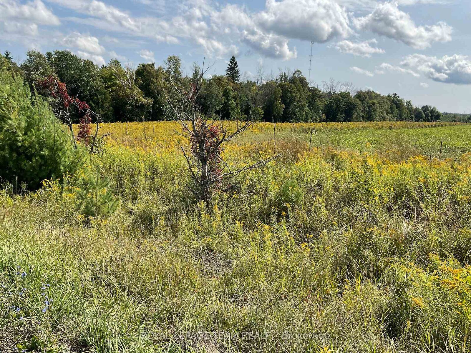 Property Photo: 1211 Bellamy Road ON K0A 2X0