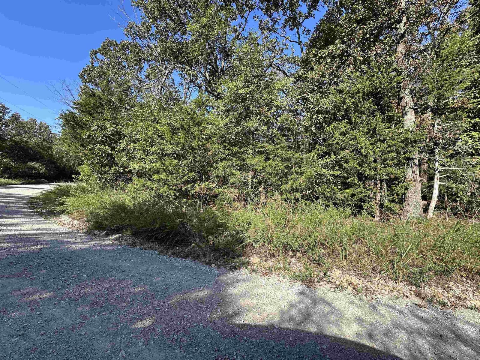 Property Photo: Lots 1 &Amp 2 Round Mountain Drive AR 72634