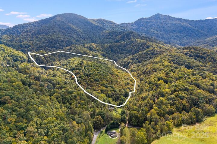 99999 S Hidden Cove Road  Leicester NC 28748 photo