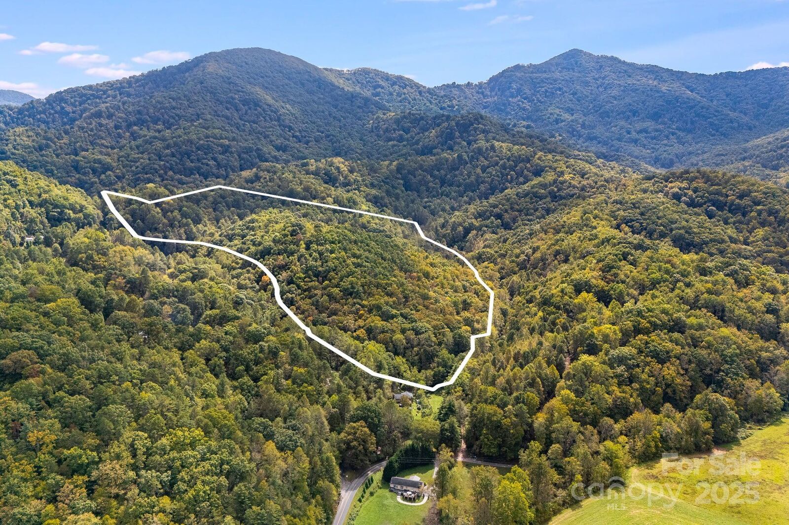 Property Photo: 99999 S Hidden Cove Road NC 28748