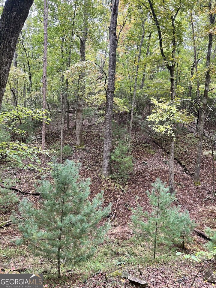 Property Photo: 0 Lower Gap Road Lowr Gap GA 30571