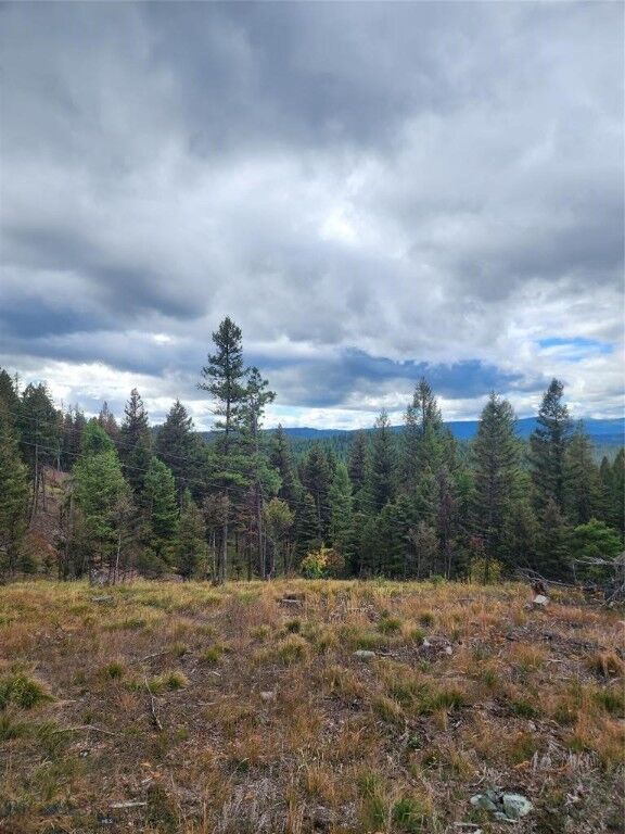 Property Photo:  408 Montana View Drive  MT 59868 