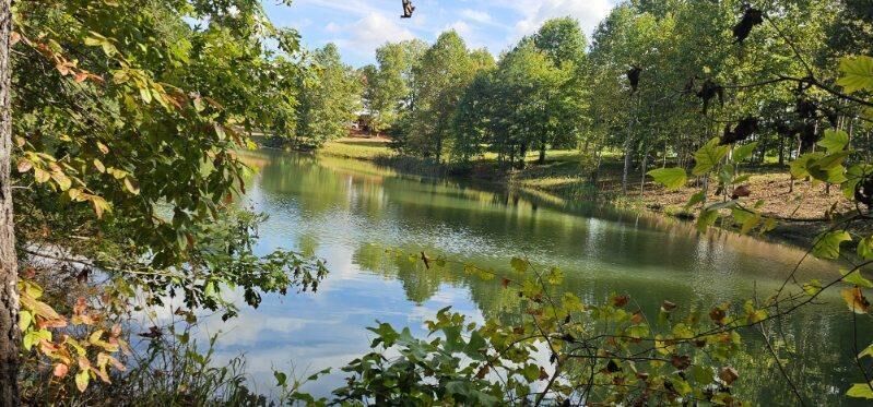 Property Photo:  Lot 515 Wilderness Way  TN 37327 