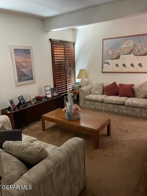 Property Photo: 7141 Peach Tree Lane TX 79915